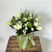 Limes &amp; Whites