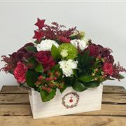 Jolly Christmas Cart 