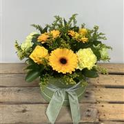 Mellow Yellow Hat Box