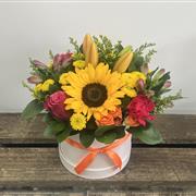 Summer Sun Hat Box
